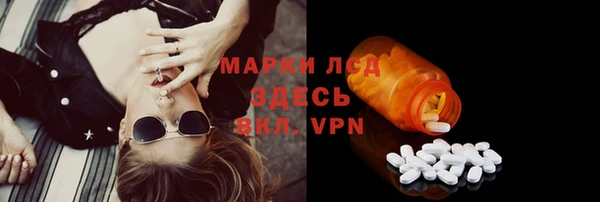 ПСИЛОЦИБИНОВЫЕ ГРИБЫ Алексеевка
