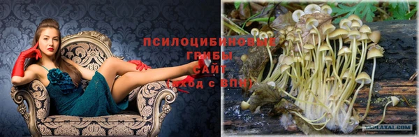 крисы Протвино