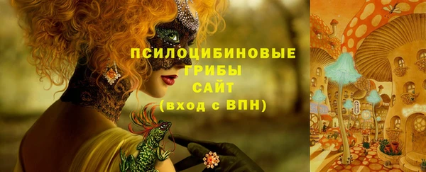 ПСИЛОЦИБИНОВЫЕ ГРИБЫ Алексеевка