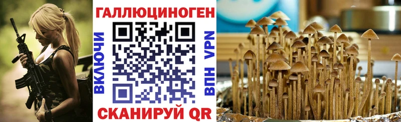 Псилоцибиновые грибы мухоморы  дарнет шоп  Новопавловск 